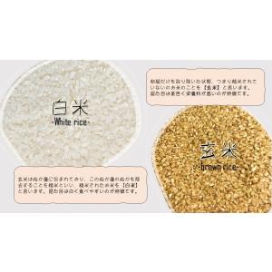 令和7年産 新潟県産 コシヒカリ 玄米30kg...の詳細画像5