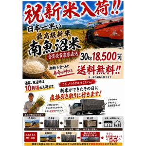令和7年産 新潟魚沼産 コシヒカリ 30kg  うまい米 米専門 みのりや　 ポイント消化 送料無料