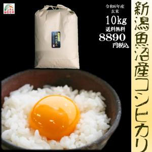 令和６年産  魚沼産コシヒカリ10kg   うまい米 米専門 みのりや（玄米）ポイント消化 送料無料