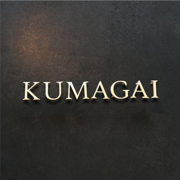 【必要な文字数でご注文してください】50角 80角 100角 表札 ステンレス バラ文字 戸建て ル...