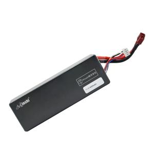 ゼエエ Zeee 6S リポバッテリー 22.2V 50C 5200mAh 大容量リポ