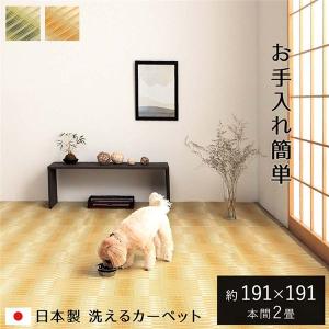 洗える ござ カーペット 本間2畳 約191×1...の商品画像