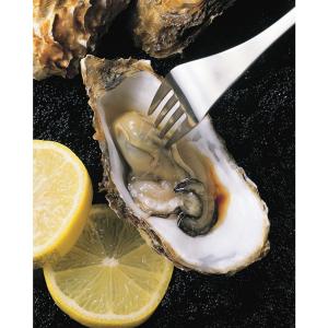 ミントハウス メキシコ産レモン果汁1kg スト...の詳細画像3