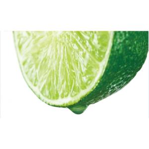 ミントハウス メキシコ産ライム果汁1kg スト...の詳細画像2