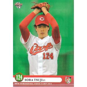 14BBM 中日ドラゴンズ D42 田中大輔 : スポーツカードミント博多駅前店