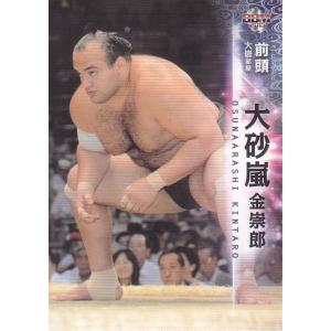 15BBM大相撲カード #20 大砂嵐｜mintkashii