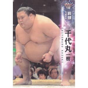15BBM大相撲カード #42 千代丸｜mintkashii