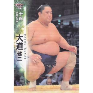 【激レア】直筆サイン　旭天鵬 激レア 第64代横綱 曙 落款入り 手形入り直筆サイン - メルカリ