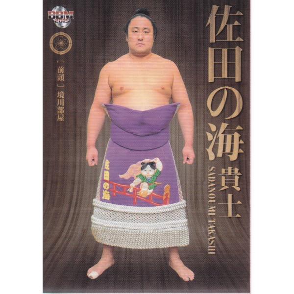 15BBM 大相撲カード粋  #13 佐田の海