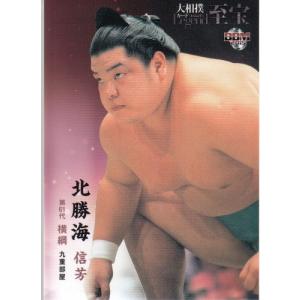 15BBM 大相撲カード LEGEND 至宝 #33 寺尾 常史 : スポーツカード