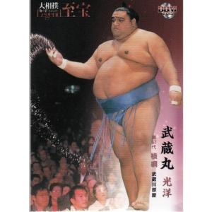 15BBM 大相撲カード LEGEND 至宝 Early Days #70 千代大海 龍二