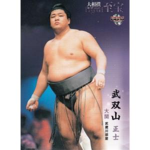 BBM 2015 大相撲 至宝　寺尾常史　直筆サインカード　/90 15BBM 大相撲カード LEGEND 至宝 #33 寺尾 常史 : スポーツカード