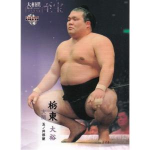 15BBM 大相撲カード LEGEND 至宝 #19 琴欧州 勝紀 : スポーツカード