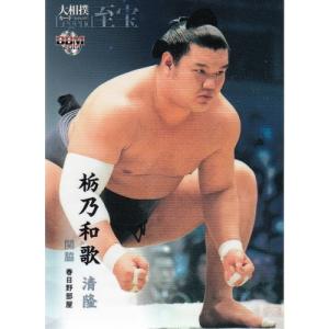 2007BBMベースボールカード 1st レギュラー 375 林昌樹 (広島東洋