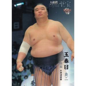 15BBM 大相撲カード LEGEND 至宝 #33 寺尾 常史 : スポーツカード