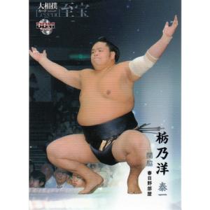 15BBM 大相撲カード LEGEND 至宝 #33 寺尾 常史 : スポーツカード
