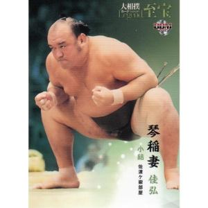 宮里美香 直筆サイン カード 20枚限定 22EPOCH JLPGA 女子ゴルフ TOP PLAYERS 宮里美香 直筆サイン