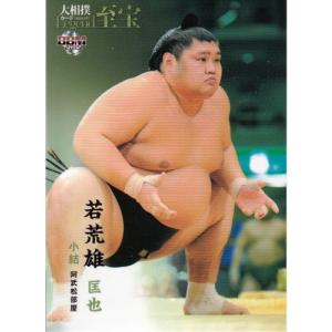 24BBM FUSION 大沢あかね 始球式直筆サインカード 銀板 5枚限定