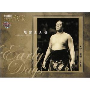 15BBM 大相撲カード LEGEND 至宝 #33 寺尾 常史 : スポーツカード