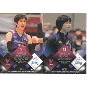 16/17 V・プレミアリーグ 女子 RG-38 岩崎紗也加/NECレッドロケッツ