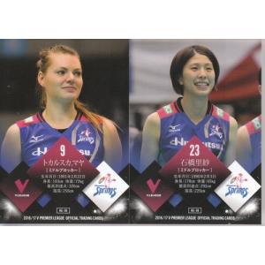 16/17 V・プレミアリーグ 女子 RG-38 岩崎紗也加/NECレッドロケッツ