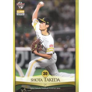 16BBM 福岡ソフトバンクホークス H59 柳田悠岐 : スポーツカードミント
