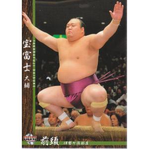 15BBM 大相撲カード LEGEND 至宝 #33 寺尾 常史 : スポーツカード