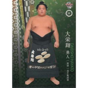 15BBM 大相撲カード LEGEND 至宝 #33 寺尾 常史 : スポーツカード