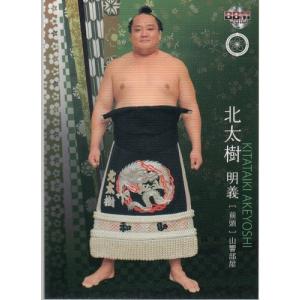 15BBM 大相撲カード LEGEND 至宝 #33 寺尾 常史 : スポーツカード