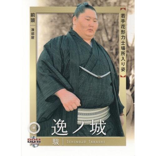 16BBM大相撲カード 彩 若手力士場所入り #75 逸ノ城