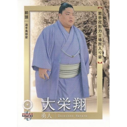 16BBM大相撲カード 彩 若手力士場所入り #78 大栄翔