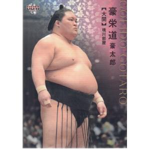 BBM 大相撲カード 2008 レギュラー 18 旭天鵬 勝 : スポーツカード