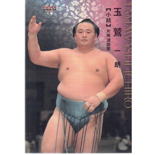 17BBM大相撲カード #11 玉鷲