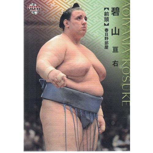 17BBM大相撲カード #13 碧山