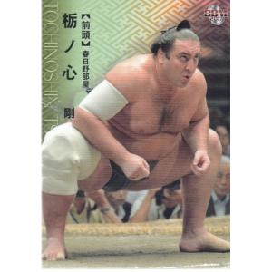 17BBM大相撲カード #23 栃ノ心