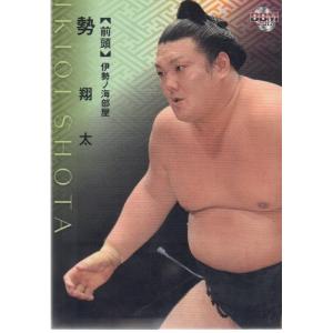5 【若乃花 勝】BBM 1997 大相撲カード レギュラー : スポーツカード