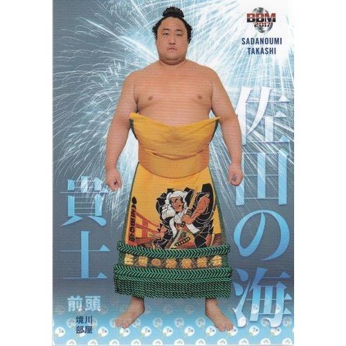 17BBM大相撲カード 魂 #34 佐田の海貴士