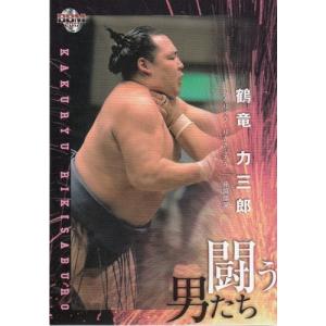 26BBM 大相撲カード 若元春 港 直筆サインカード 90枚限定 : スポーツ