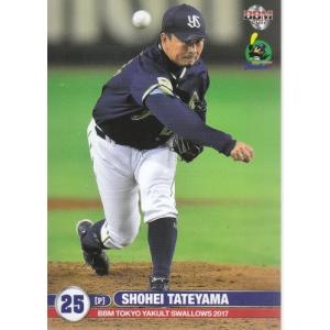 ヤクルトスワローズ img04.jpg