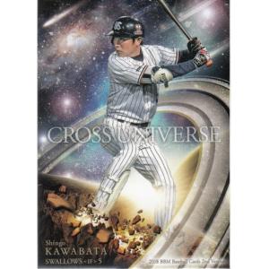 30 【川端慎吾】2015第2回ファンが選ぶ「東京ヤクルトスワローズ」公式