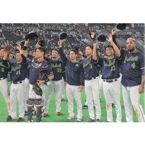 18カルビープロ野球チップス第3弾 チェックリスト C-12 交流戦勝率1位 ヤクルトスワローズ｜mintkashii