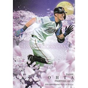 15BBM 25周年記念カード #078 城島健司 : スポーツカードミント