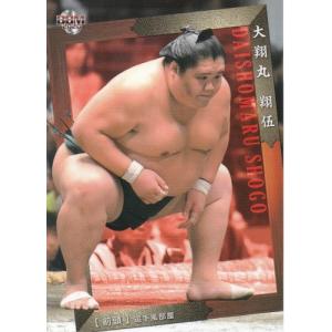 21BBM 大相撲カード レジェンド HEROES 優勝伝説 #70 千代大海 龍二
