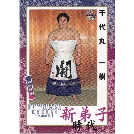 20BBM 大相撲カード 新 新弟子時代 #61 千代丸 一樹
