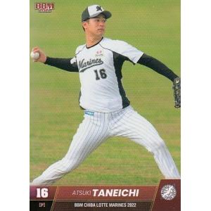 千葉ロッテマリーンズ　菅野 31 菅野 剛士 選手名鑑2023 - 千葉ロッテマリーンズ