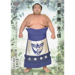 26BBM 大相撲カード 若元春 港 直筆サインカード 90枚限定 : スポーツ
