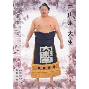 21BBM 2ndバージョンFP16 百川晴香 始球式カード : スポーツ