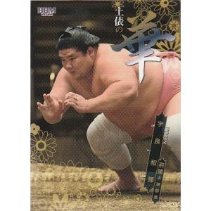 21BBM 大相撲カード レジェンド HEROES 優勝伝説 #70 千代大海 龍二