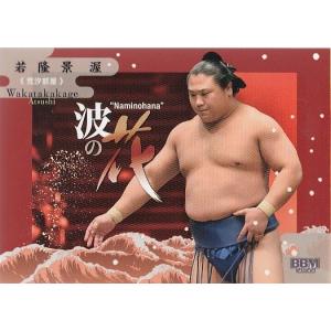 BBM 2016 ボクシング The Champ III 畑山隆則 19 レギュラー : トレカ