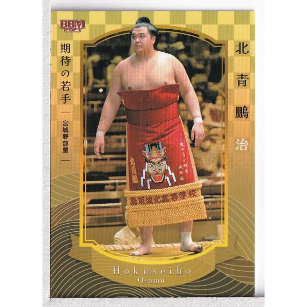 23BBM 大相撲カード #75 北青鵬 治 十両 期待の若手